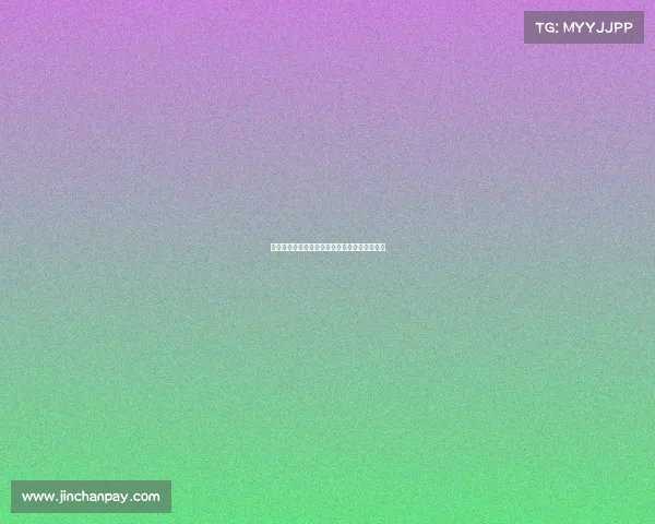 宝马征战全球顶级汽车赛事辉煌历程与未来展望